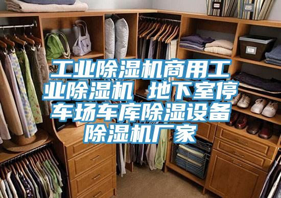 工業榴莲视频官网APP商用工業榴莲视频官网APP 地下室停車場車庫除濕設備榴莲视频官网APP廠家