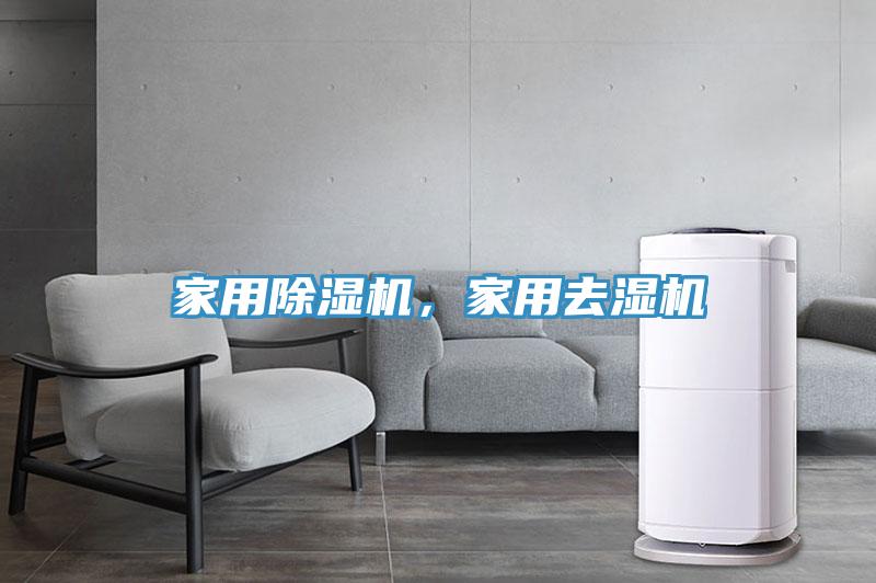 家用榴莲视频官网APP，家用去濕機