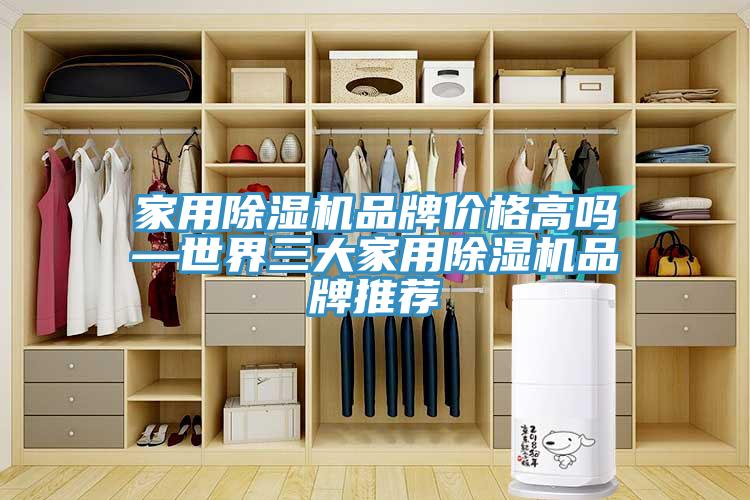 家用榴莲视频官网APP品牌價格高嗎—世界三大家用榴莲视频官网APP品牌推薦
