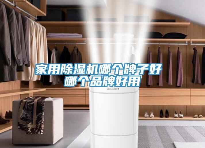 家用榴莲视频官网APP哪個牌子好 哪個品牌好用