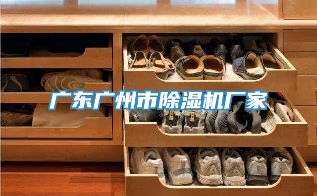 廣東廣州市榴莲视频官网APP廠家