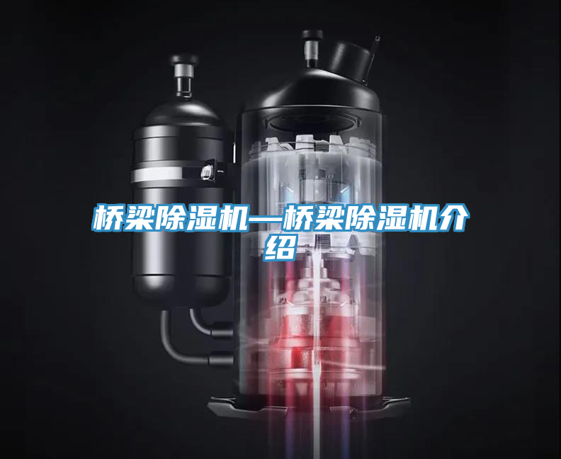 橋梁榴莲视频官网APP—橋梁榴莲视频官网APP介紹