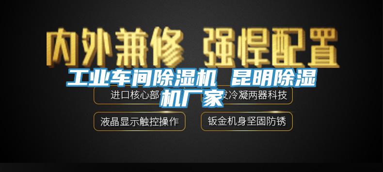工業車間榴莲视频官网APP 昆明榴莲视频官网APP廠家