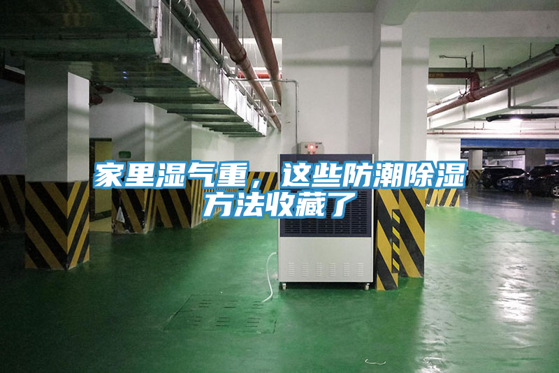家裏濕氣重，這些防潮除濕方法收藏了