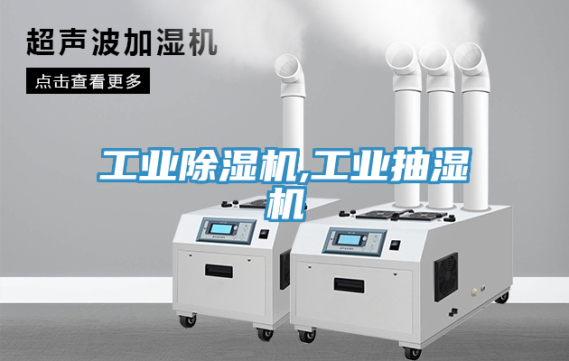 工業榴莲视频官网APP,工業抽濕機