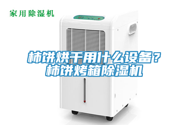 柿餅烘幹用什麽設備？柿餅烤箱榴莲视频官网APP