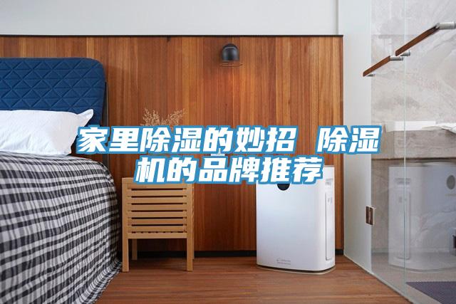 家裏除濕的妙招 榴莲视频官网APP的品牌推薦