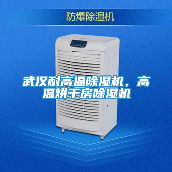 武漢耐高溫榴莲视频官网APP，高溫烘幹房榴莲视频官网APP