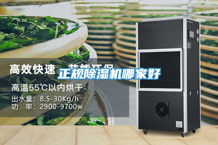 正規榴莲视频官网APP哪家好