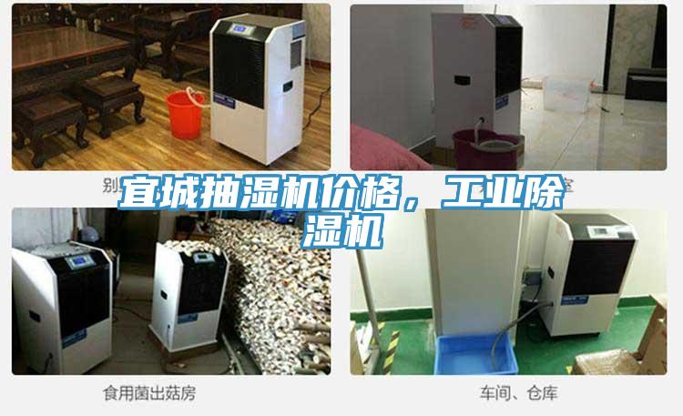 宜城抽濕機價格，工業榴莲视频官网APP