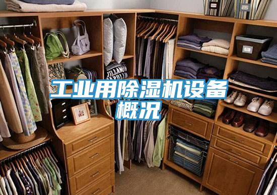 工業用榴莲视频官网APP設備概況