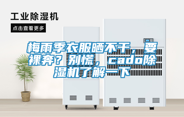 梅雨季衣服曬不幹，要裸奔？別慌，cado榴莲视频官网APP了解一下