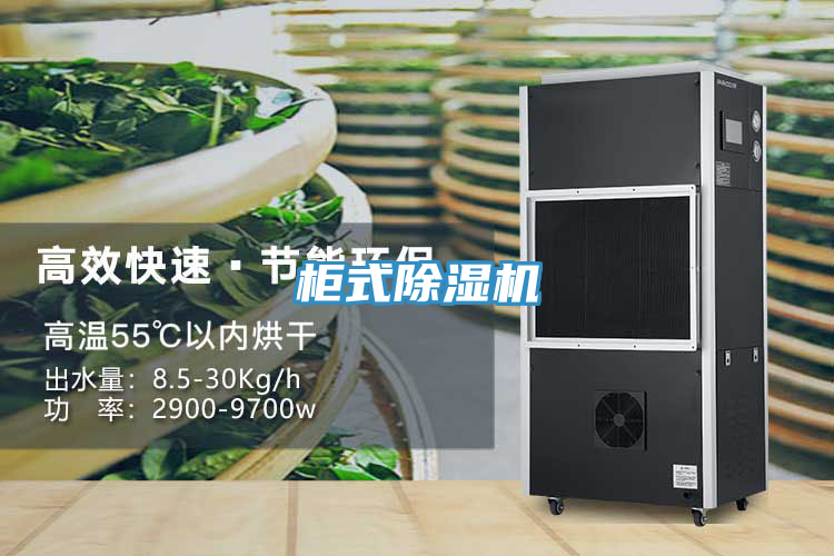 櫃式榴莲视频官网APP