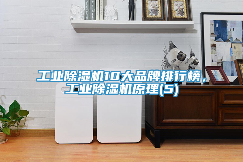 工業榴莲视频官网APP10大品牌排行榜，工業榴莲视频官网APP原理(5)