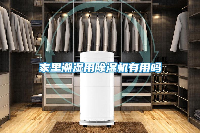 家裏潮濕用榴莲视频官网APP有用嗎