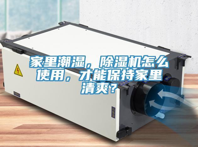 家裏潮濕，榴莲视频官网APP怎麽使用，才能保持家裏清爽？