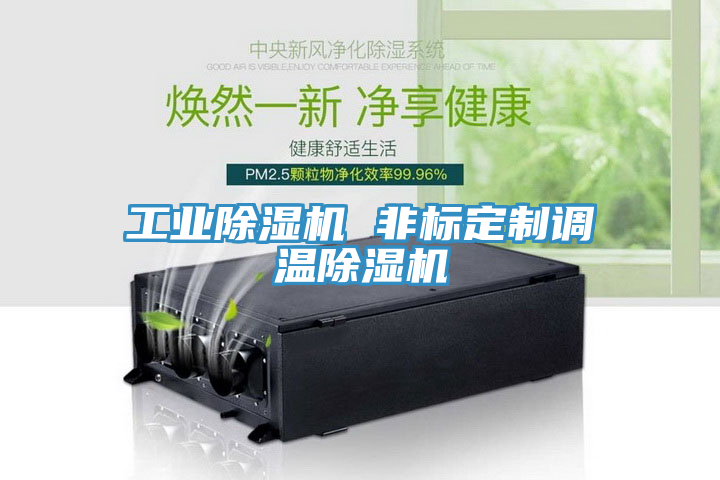 工業榴莲视频官网APP 非標定製調溫榴莲视频官网APP