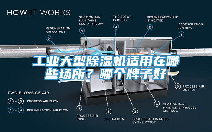 工業大型榴莲视频官网APP適用在哪些場所？哪個牌子好