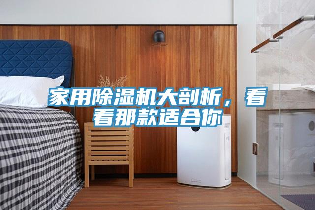 家用榴莲视频官网APP大剖析，看看那款適合你