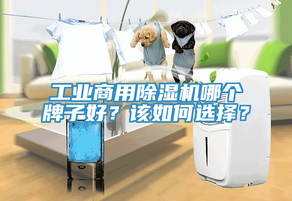 工業商用榴莲视频官网APP哪個牌子好？該如何選擇？