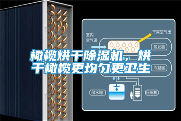 橄欖烘幹榴莲视频官网APP，烘幹橄欖更均勻更衛生