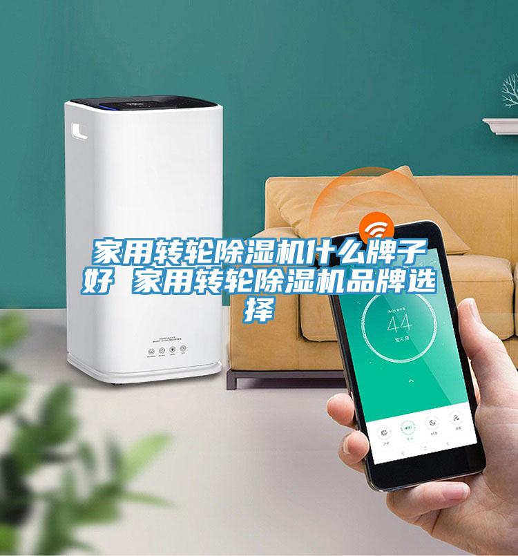 家用轉輪榴莲视频官网APP什麽牌子好 家用轉輪榴莲视频官网APP品牌選擇