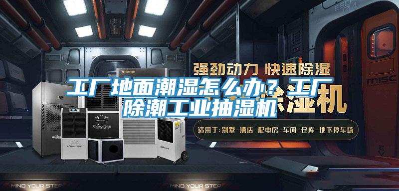 工廠地麵潮濕怎麽辦？工廠除潮工業抽濕機