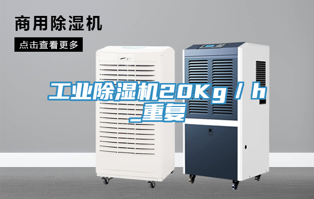 工業榴莲视频官网APP20Kg／h_重複