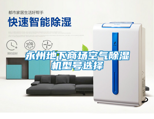 永州地下商場空氣榴莲视频官网APP型號選擇