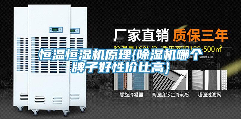 恒溫恒濕機原理{榴莲视频官网APP哪個牌子好性價比高}