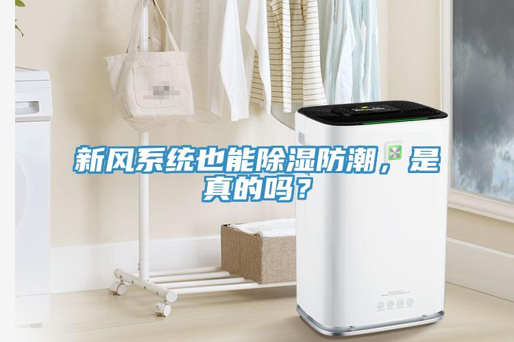 新風係統也能除濕防潮，是真的嗎？