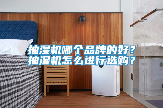 抽濕機哪個品牌的好？抽濕機怎麽進行選購？