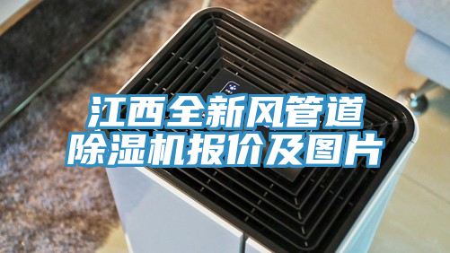 江西全新風管道榴莲视频官网APP報價及圖片