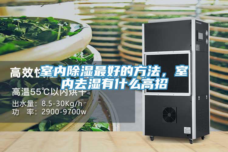 室內除濕最好的方法，室內去濕有什麽高招