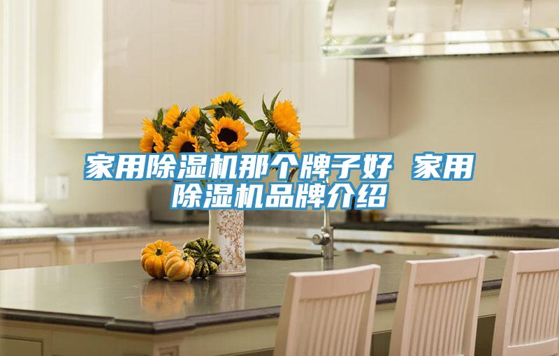 家用榴莲视频官网APP那個牌子好 家用榴莲视频官网APP品牌介紹