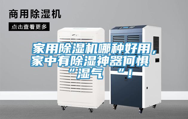 家用榴莲视频官网APP哪種好用，家中有除濕神器何懼 “濕氣 “！