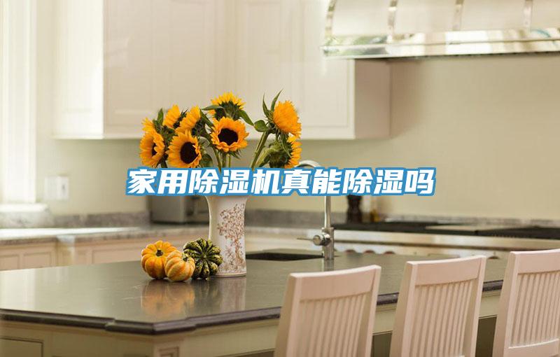 家用榴莲视频官网APP真能除濕嗎
