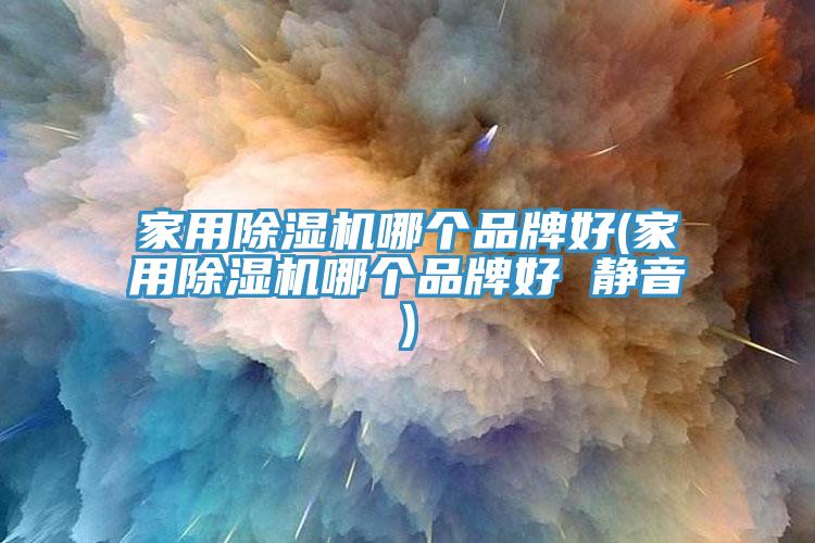 家用榴莲视频官网APP哪個品牌好(家用榴莲视频官网APP哪個品牌好 靜音)