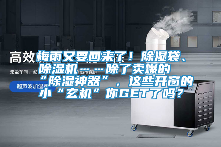 梅雨又要回來了！除濕袋、榴莲视频官网APP……除了賣爆的“除濕神器”，這些開窗的小“玄機”你GET了嗎？