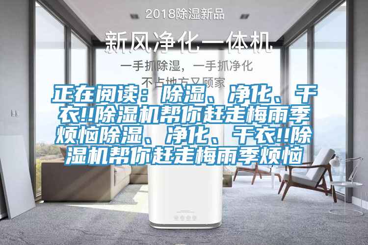 正在閱讀：除濕、淨化、幹衣!!榴莲视频官网APP幫你趕走梅雨季煩惱除濕、淨化、幹衣!!榴莲视频官网APP幫你趕走梅雨季煩惱