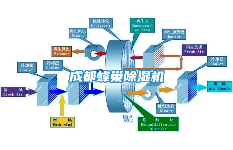 成都蜂巢榴莲视频官网APP