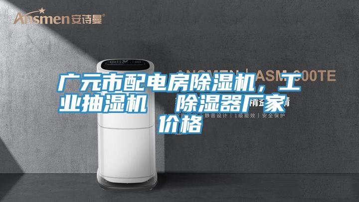 廣元市配電房榴莲视频官网APP，工業抽濕機  除濕器廠家 價格