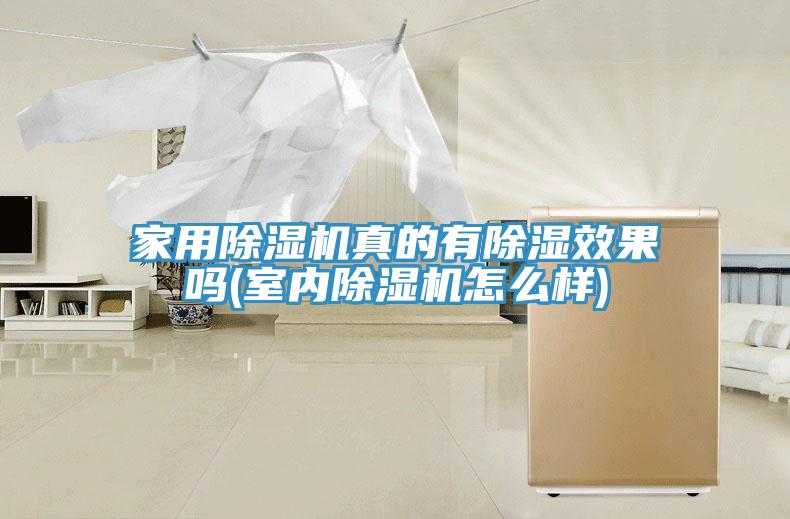 家用榴莲视频官网APP真的有除濕效果嗎(室內榴莲视频官网APP怎麽樣)