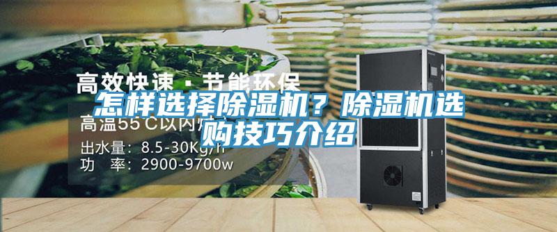 怎樣選擇榴莲视频官网APP？榴莲视频官网APP選購技巧介紹