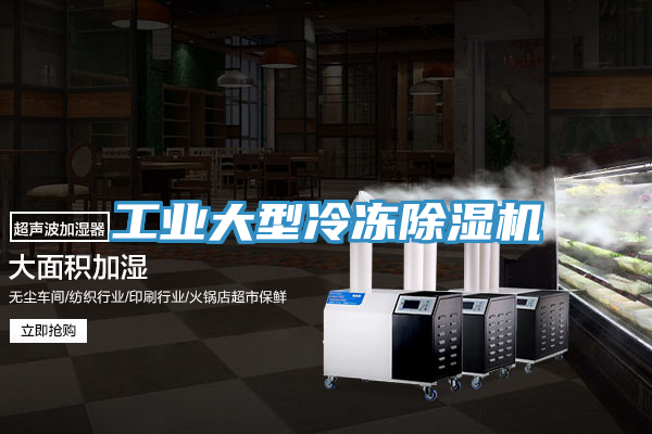 工業大型冷凍榴莲视频官网APP