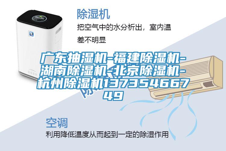 廣東抽濕機-福建榴莲视频官网APP-湖南榴莲视频官网APP-北京榴莲视频官网APP-杭州榴莲视频官网APP13735466749
