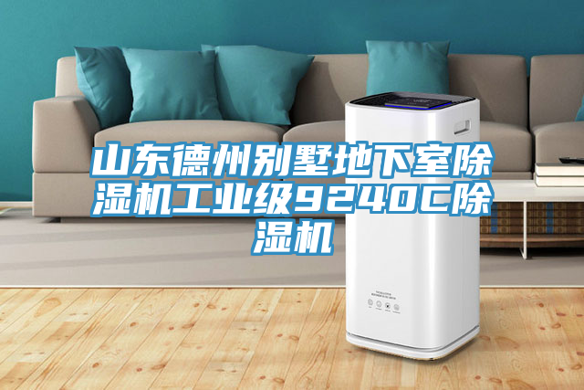 山東德州別墅地下室榴莲视频官网APP工業級9240C榴莲视频官网APP