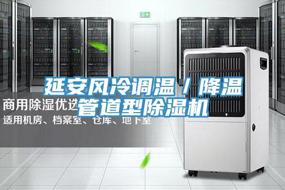 延安風冷調溫／降溫管道型榴莲视频官网APP