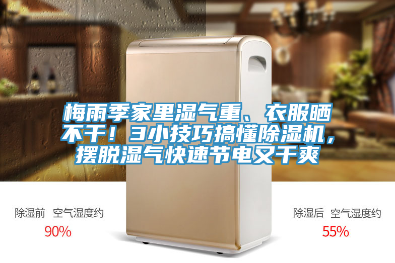 梅雨季家裏濕氣重、衣服曬不幹！3小技巧搞懂榴莲视频官网APP，擺脫濕氣快速節電又幹爽