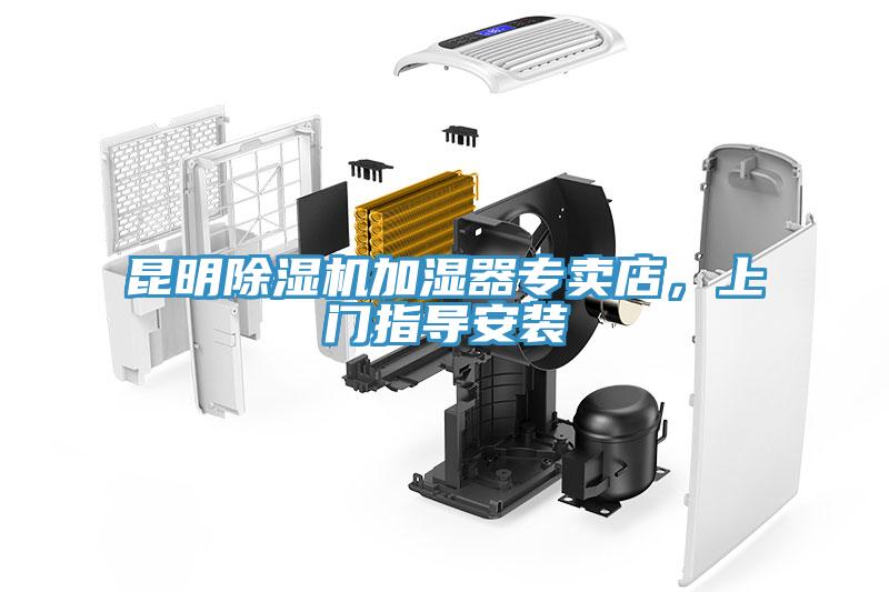 昆明榴莲视频官网APP加濕器專賣店，上門指導安裝